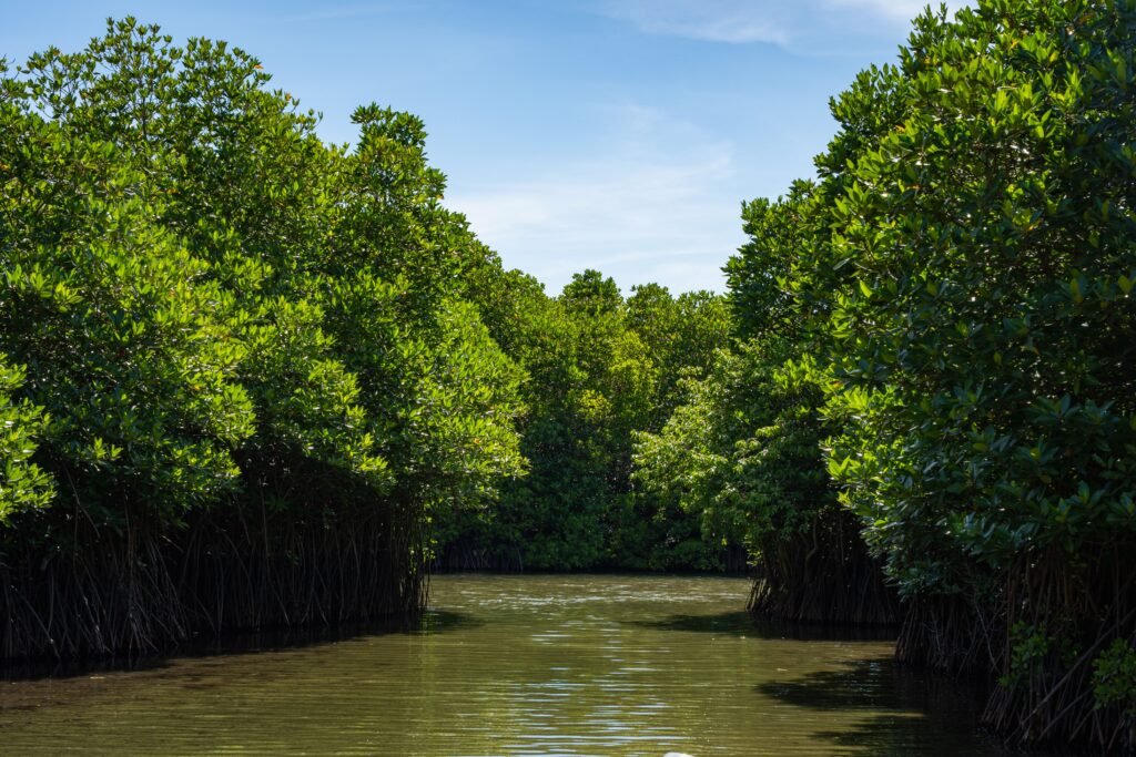 Kalpitiya Lagoon