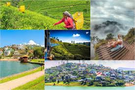 Nuwara Eliya