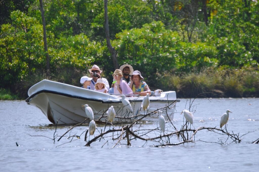 Mahamodara River Safari through scenic mangroves