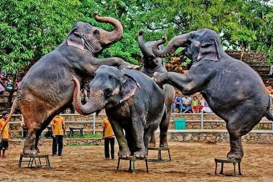 Dehiwala Zoological Gardens entrance in Sri Lanka