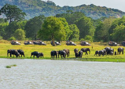 Kalawewa National Park Sri Lanka
