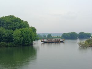 Madu River Safari by Buddhi exploring mangrove tunnels in Balapitiya, Sri Lanka