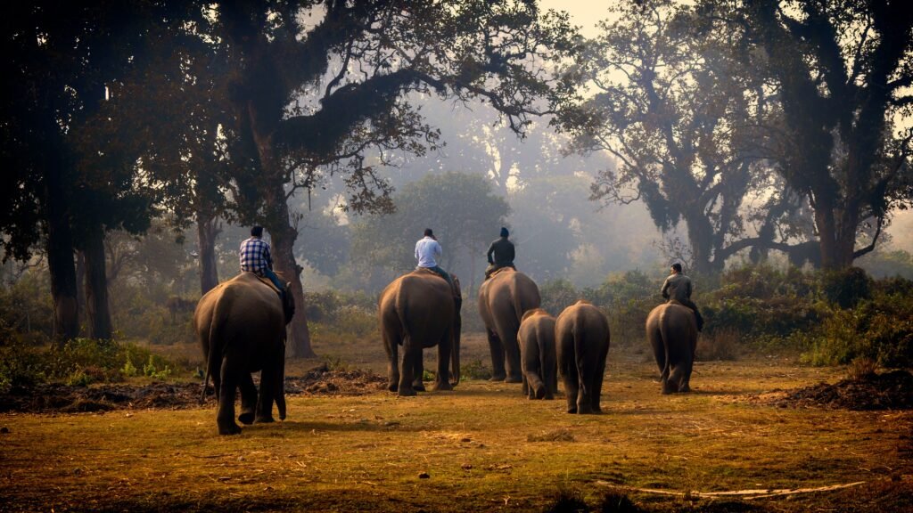 Elephants View Point scenic landscape in Sri Lanka