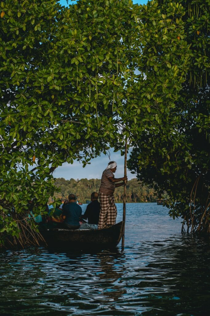 Madu River Safari by Buddhi exploring mangrove tunnels in Balapitiya, Sri Lanka