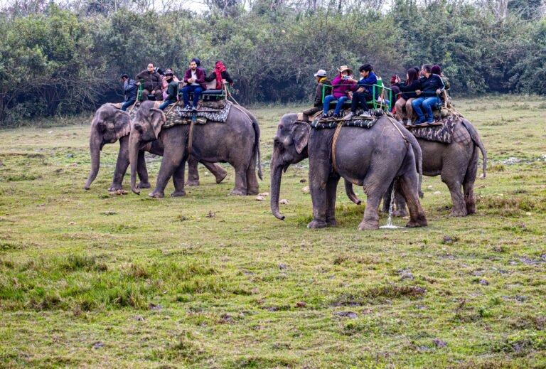 Elephants View Point scenic landscape in Sri Lanka